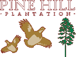 South Georgia Quail Hunting - Pine Hill Plantation