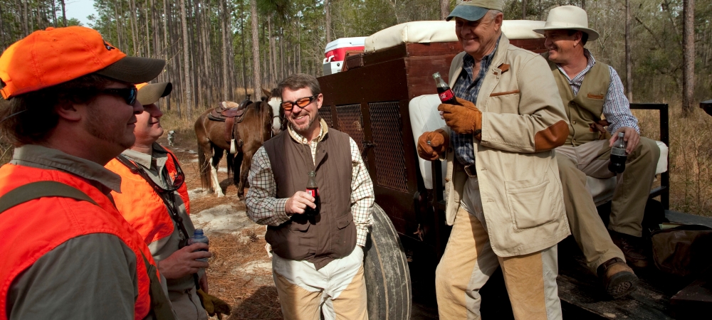 Quail Hunting Georgia