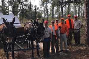 Mixed Group Quail Hunting Rates & Information